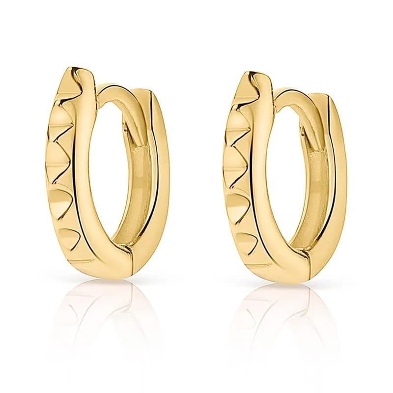 Fashion Women Jewelry 925 Sterling Silver 18k Gold Plated Unique Punk Hoop Earrings For Women Huggie Earrings