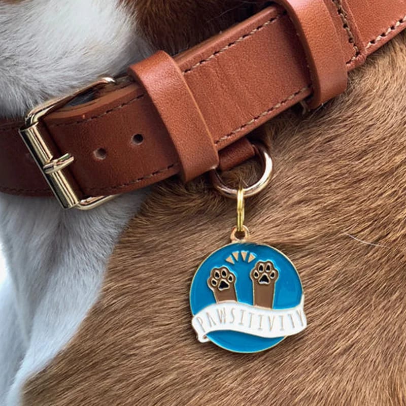 Personalized Accessories Jewelry Pet Dog Collar Charm Tags Custom Dog Collar Charms New Logo Pet Name Collar Charm Openwork Beads&Charms